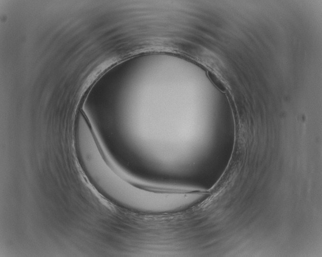 X0000065230898200603031710