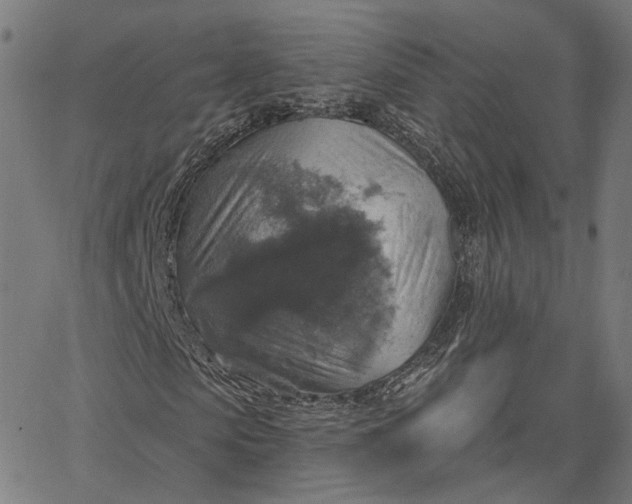 X0000065230913200603031709