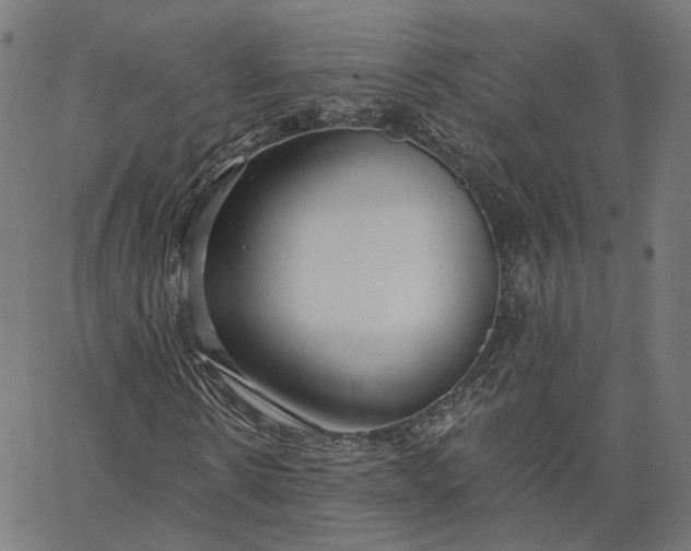X0000065230914200603031709