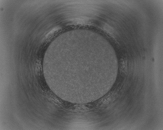 X0000065230918200603031709