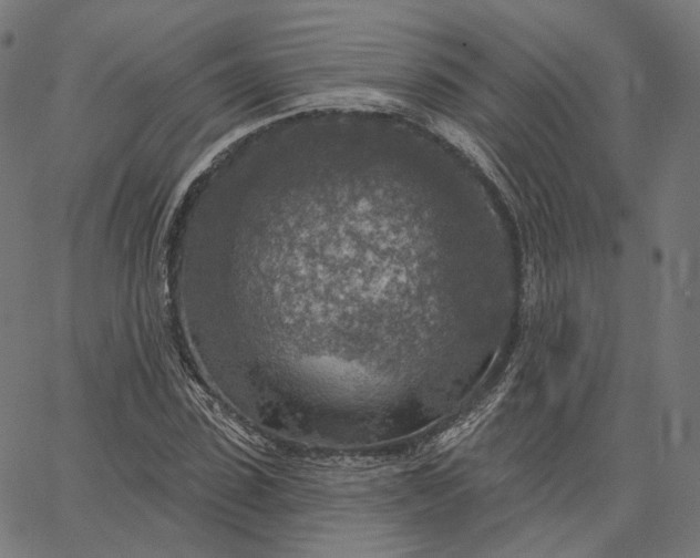 X0000065230923200603031709