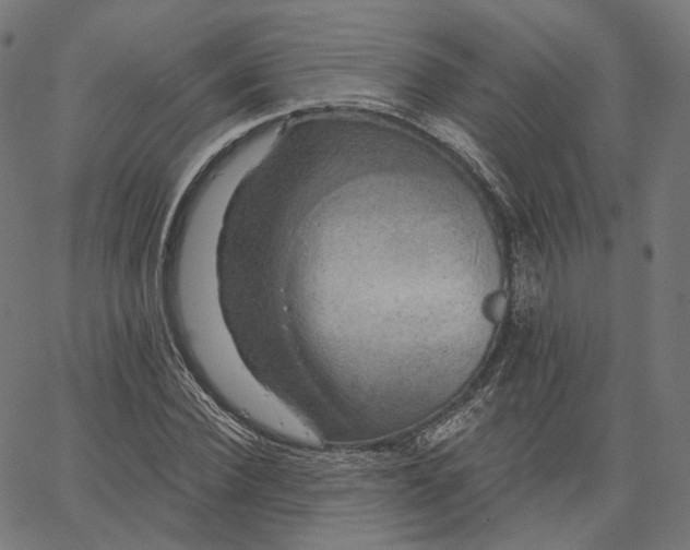 X0000065230924200603031709