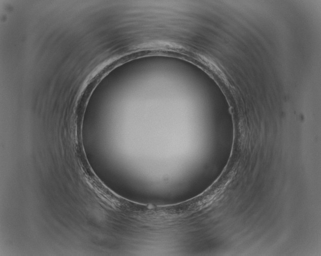 X0000065230931200603031709