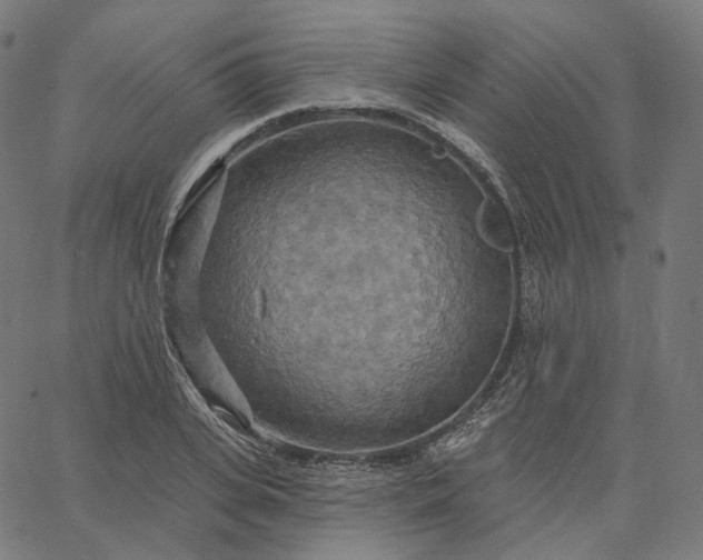 X0000065230935200603031710