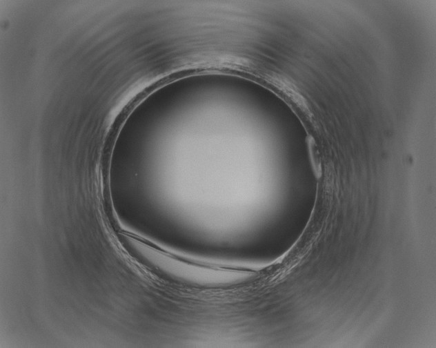 X0000065230936200603031710