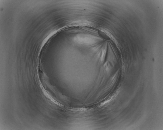 X0000065230941200603031710