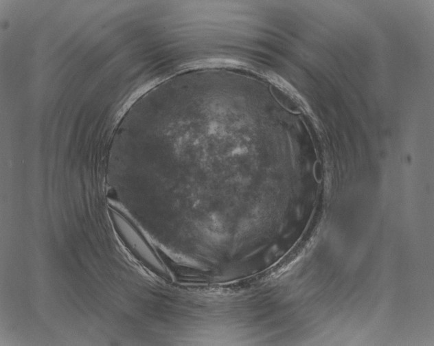 X0000065230945200603031710