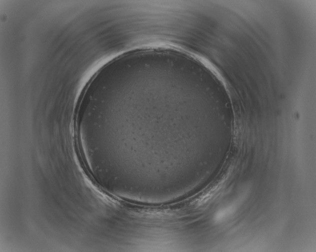 X0000065230951200603031710