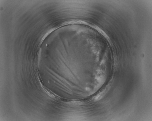 X0000065230953200603031710