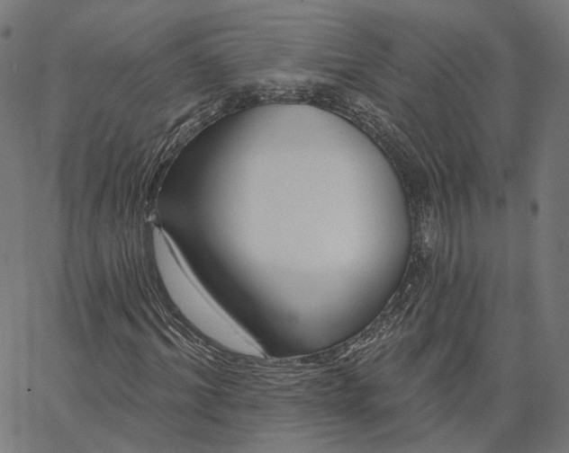 X0000065230964200603031709