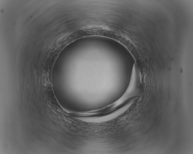 X0000065230965200603031709