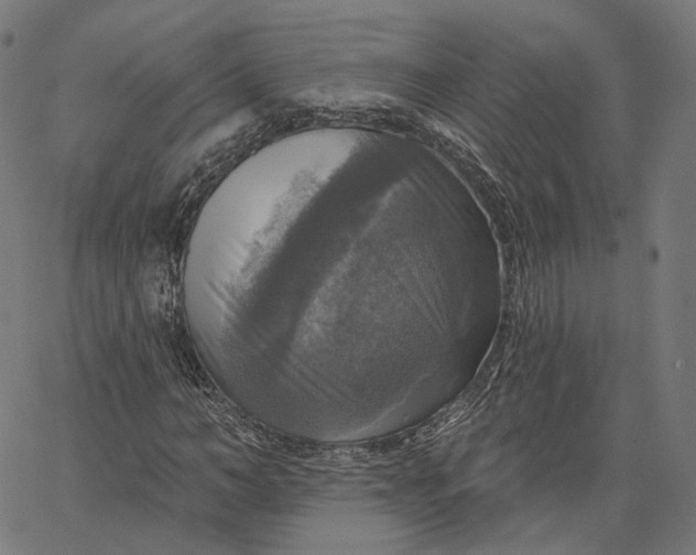 X0000065230966200603031709