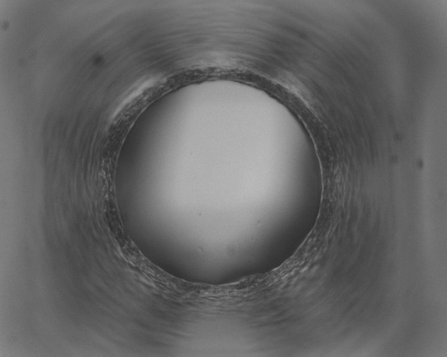 X0000065230967200603031709
