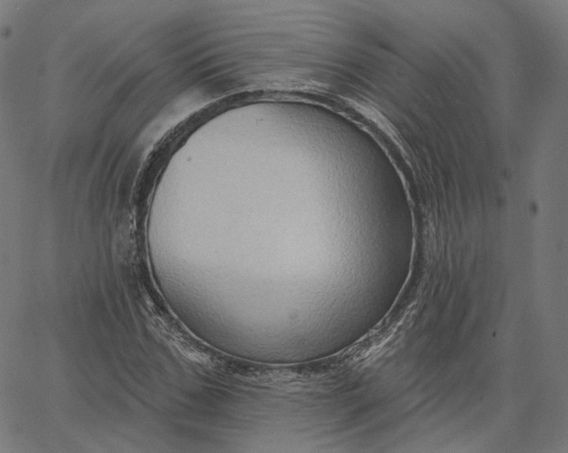 X0000065230971200603031709
