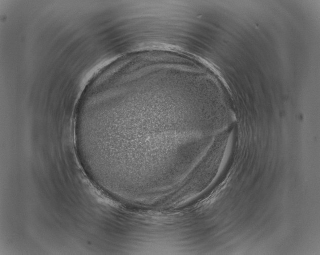 X0000065230987200603031709