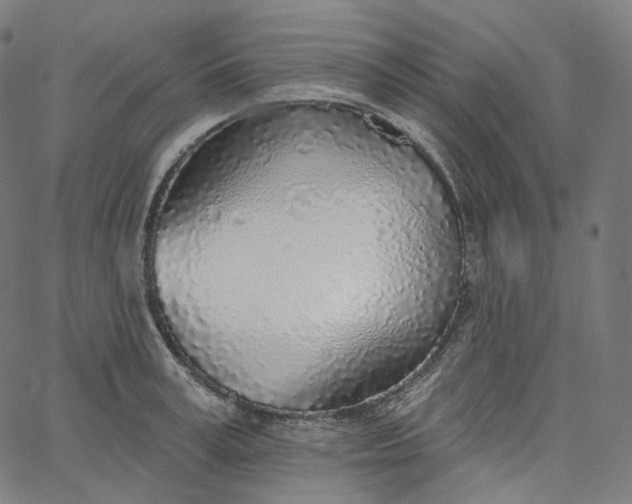 X0000065230995200603031709