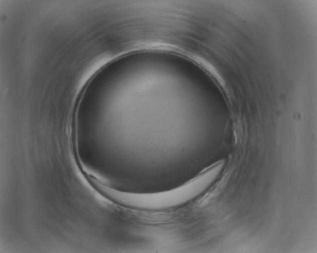 X0000065231007200603031708