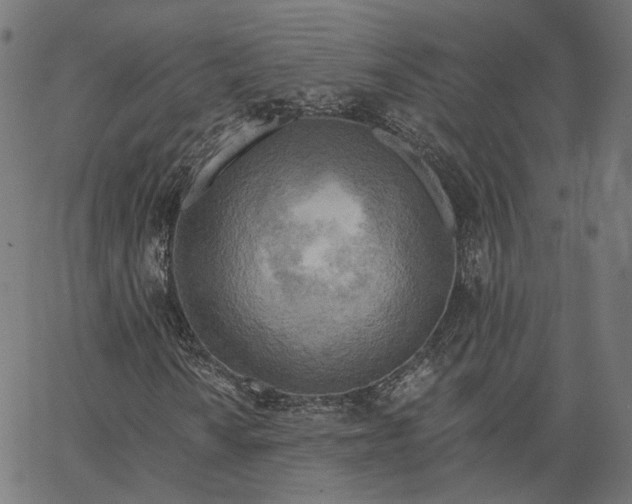 X0000065231010200603031708