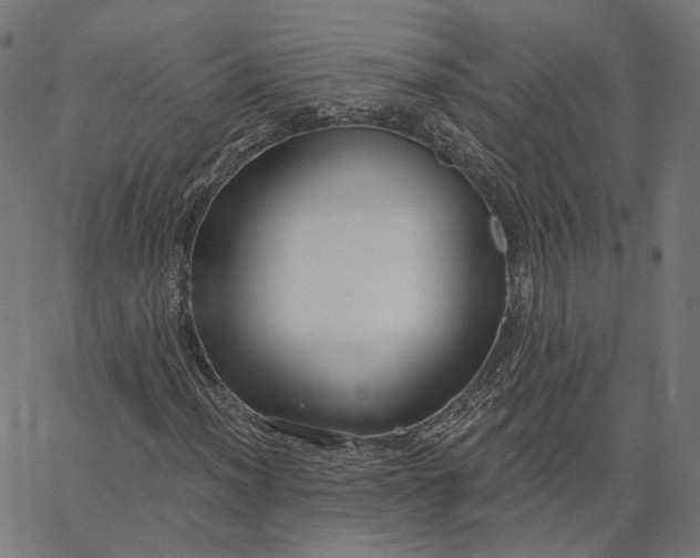 X0000065231012200603031708