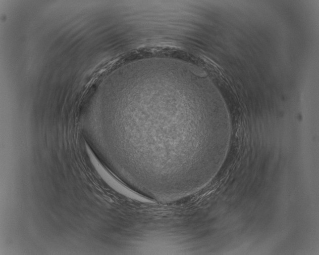 X0000065231014200603031708