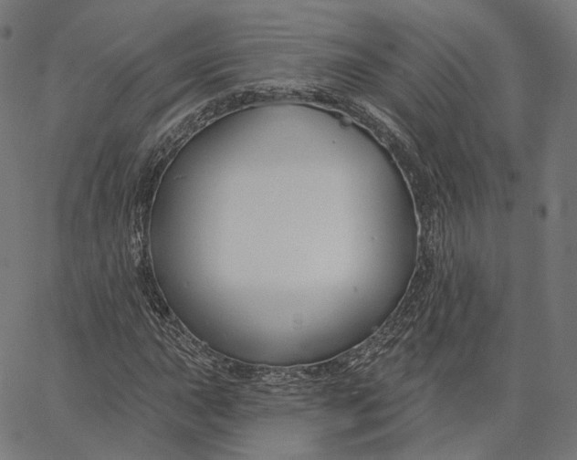 X0000065231015200603031708