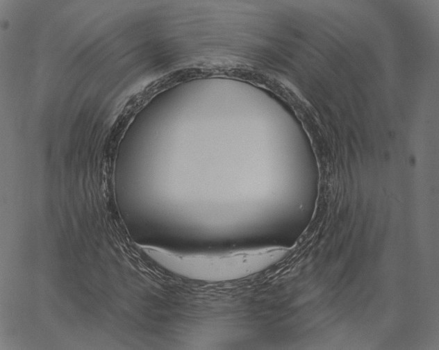 X0000065231016200603031708