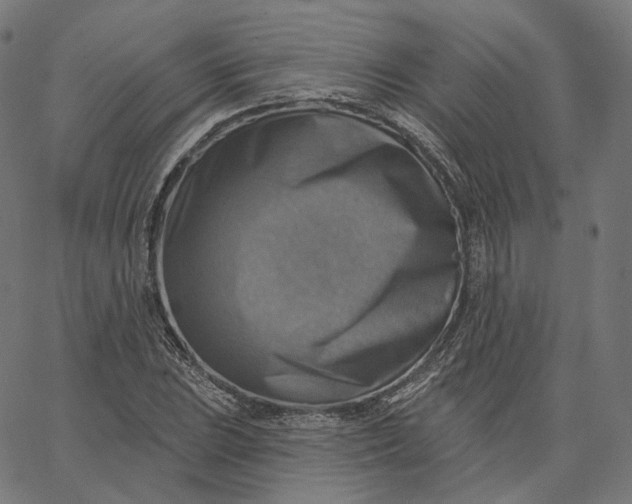 X0000065231023200603031708