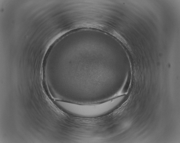 X0000065231028200603031708