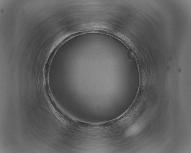 X0000065231031200603031708