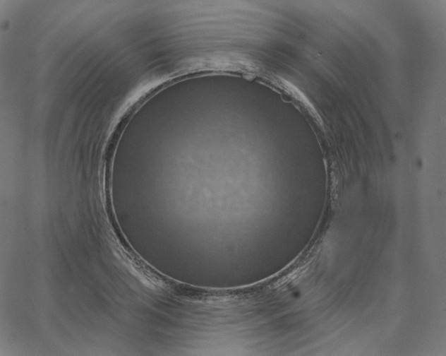 X0000065231035200603031708