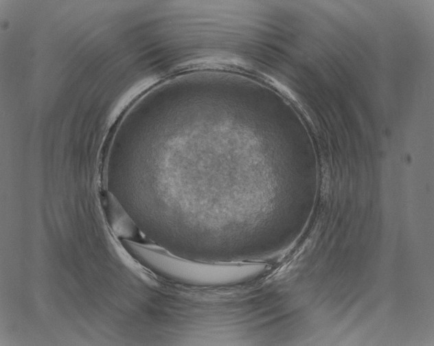 X0000065231042200603031708