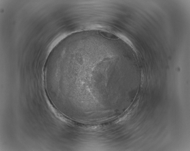 X0000065231047200603031708