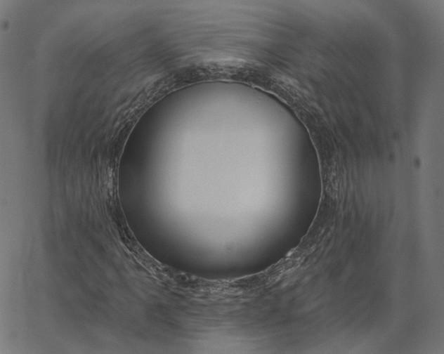 X0000065231061200603031708
