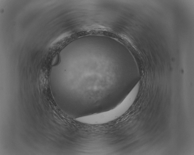 X0000065231063200603031707