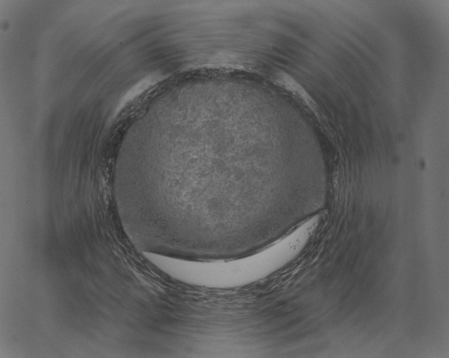 X0000065231064200603031707