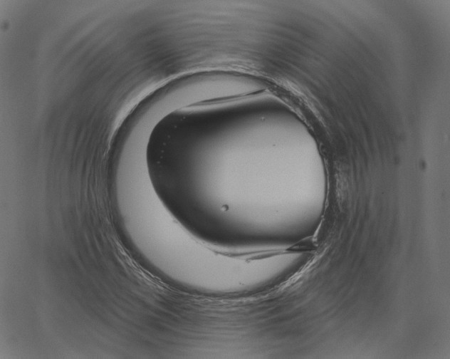 X0000065231069200603031707