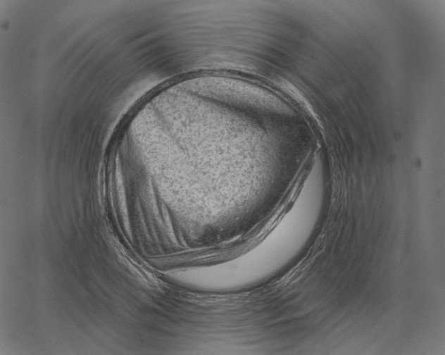 X0000065231076200603031707