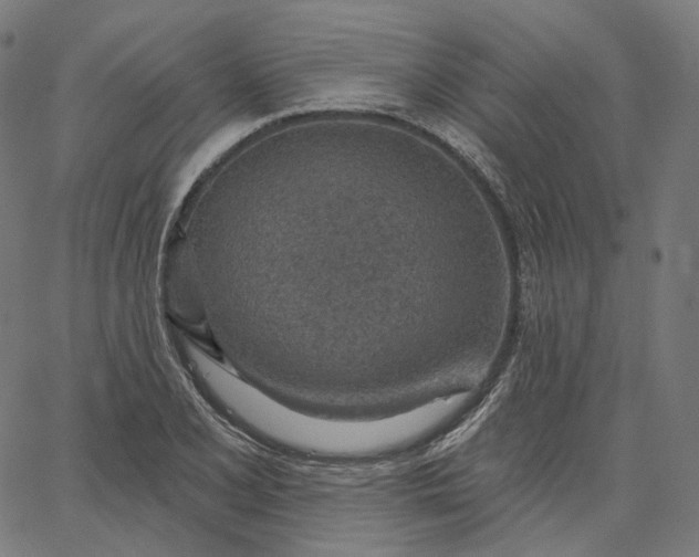 X0000065231077200603031707