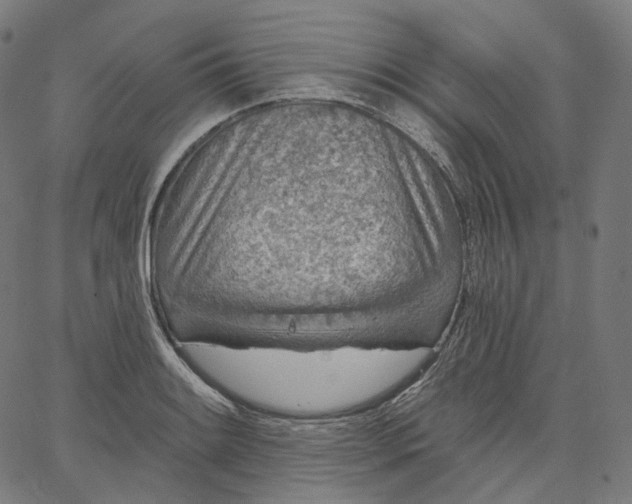 X0000065231084200603031707