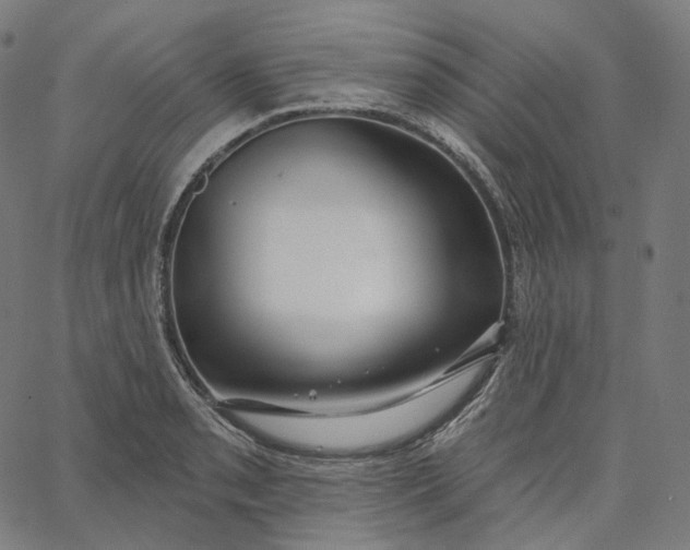 X0000065231085200603031707