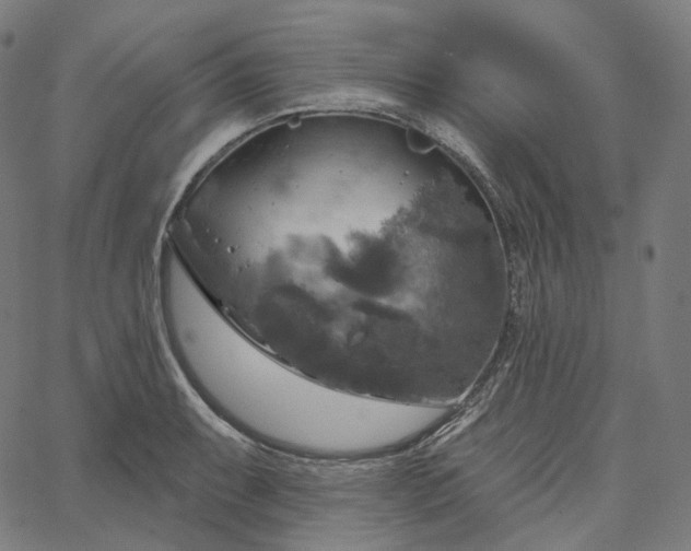 X0000065231087200603031707