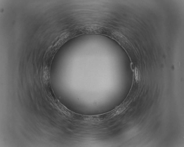 X0000065231107200603031706