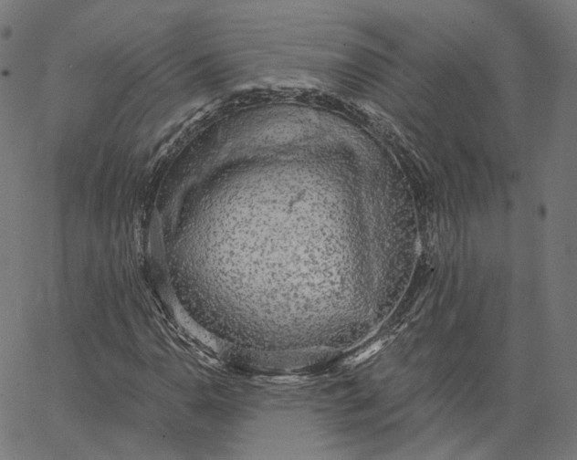 X0000065231110200603031706
