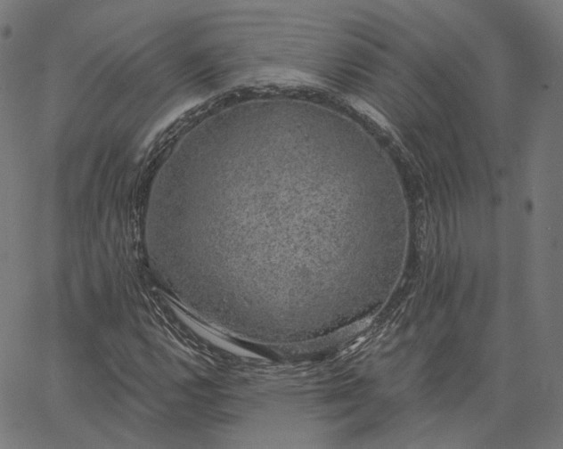 X0000065231112200603031706