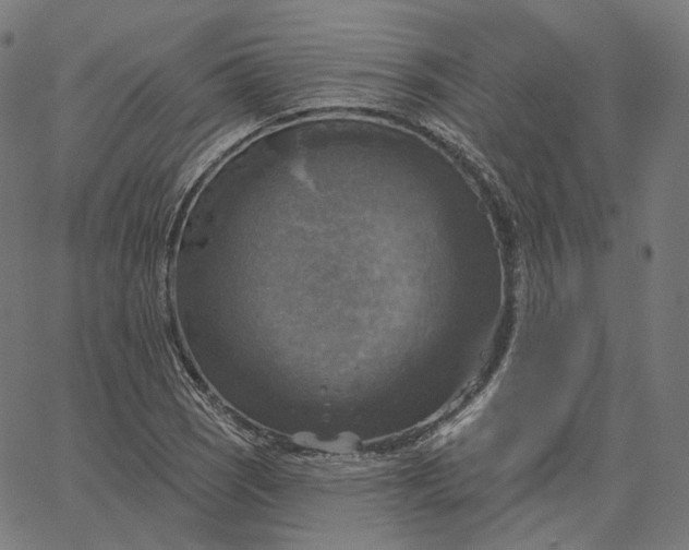X0000065231121200603031706