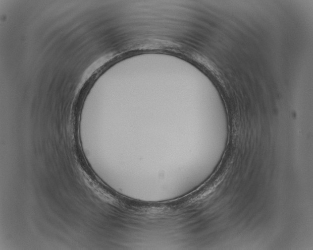 X0000065231122200603031706