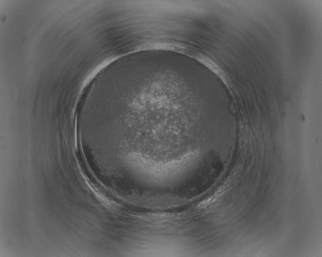 X0000065231127200603031706