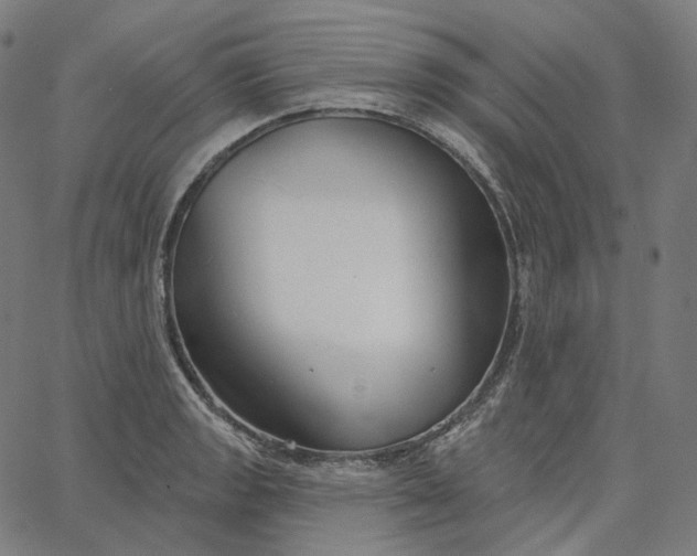 X0000065231133200603031706