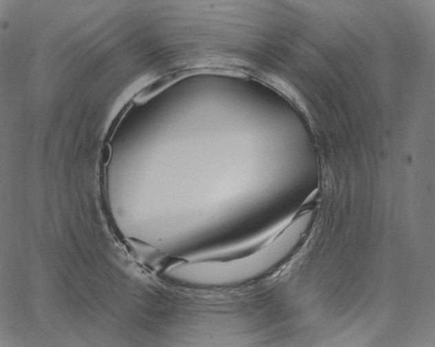X0000065231138200603031707
