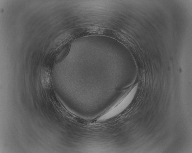 X0000065231154200603031706